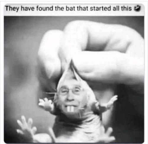 Screenshot_20210813-053555_Wimkin