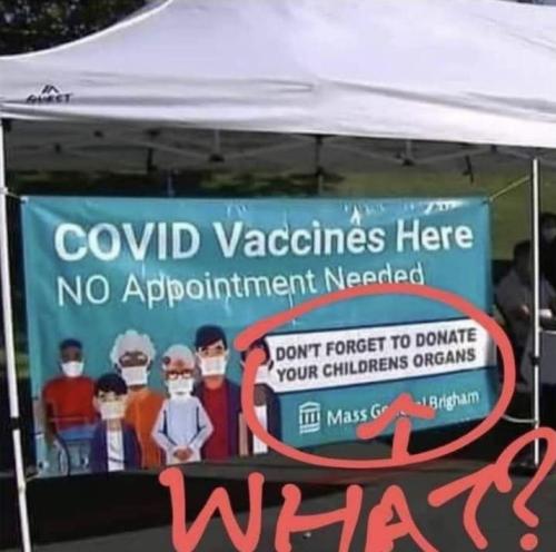 vaccine439