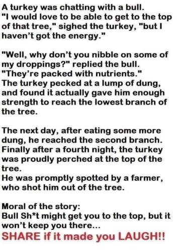 260294354_3128825380738244_8493392545166285392_n