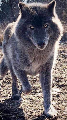 8a18ef70a5097cfe4aa9397a231be02f