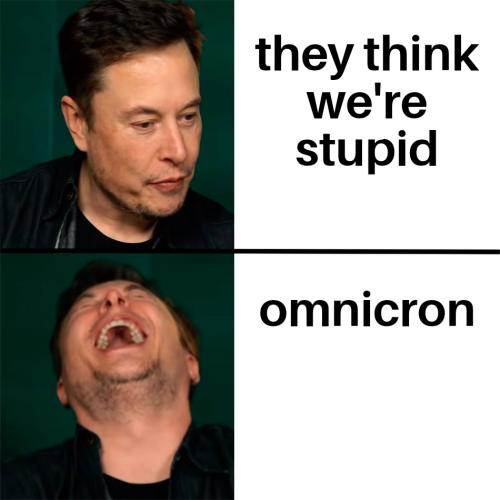 Elon Musk Laughing 28112021171021