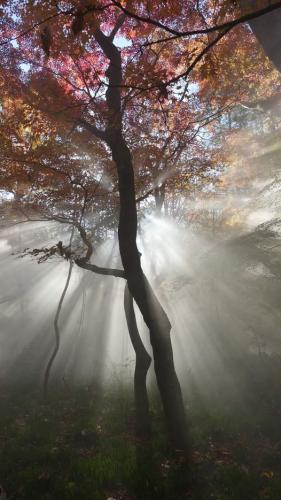 249323988_425731345589443_7770941894929070988_n