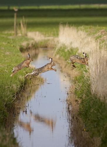 tumblr_6bfaca43d3647aa27194eb86b2db35dd_2fd218b1_540