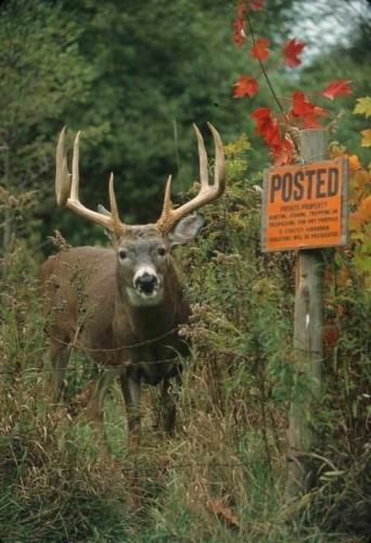 254267007_1719047211634497_7292333136144261071_n