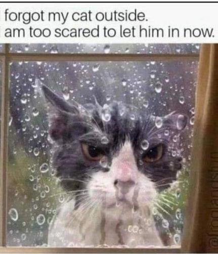 Screenshot_20211102-095820_Office