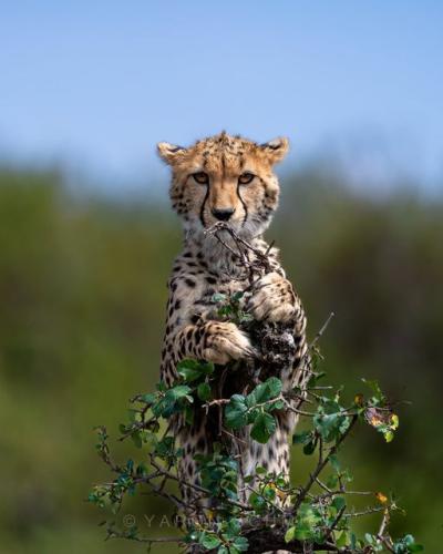 258773384_3039342252980345_3652796801353350284_n