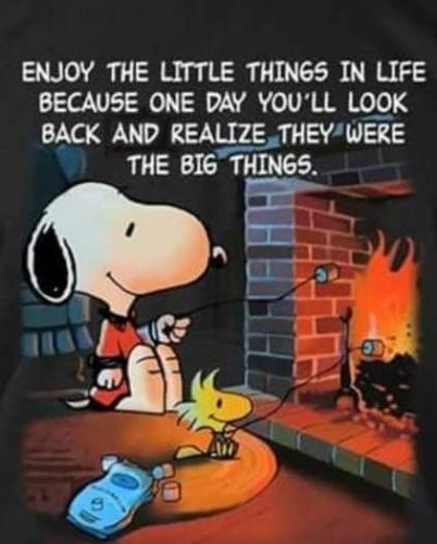 FB_IMG_1636086426471