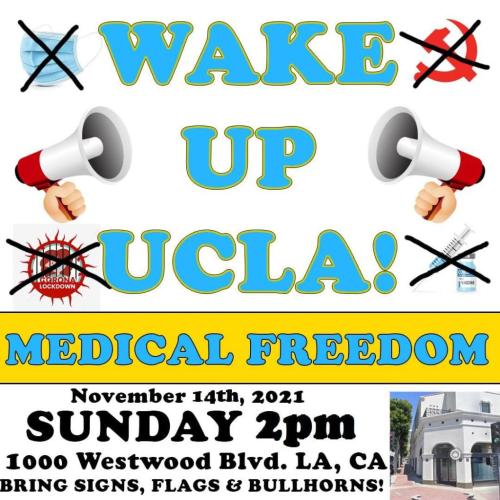 Los Angeles - UCLA - Nov 14