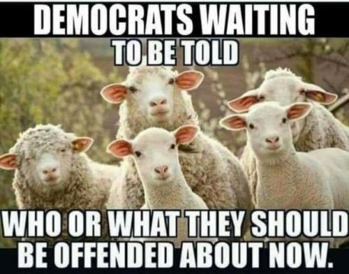 23:41:35 GMT-0600 (CST)