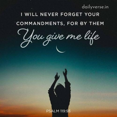 08:53:03 GMT-0400 (EDT)