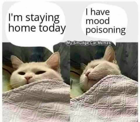 FB_IMG_1637798636927