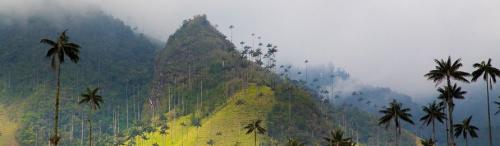 7320298ee8ddcc28a3b75ed91d711153 (2)