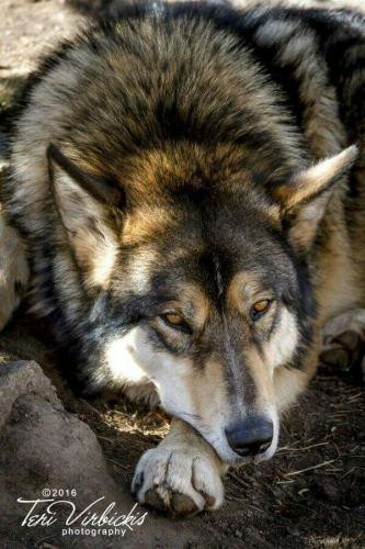 19:12:43 GMT-0600 (CST)