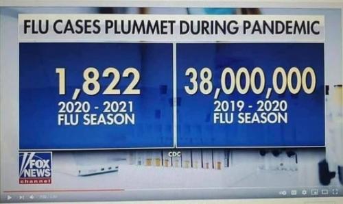 flu cases2