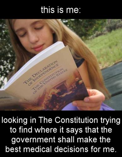the constitution08