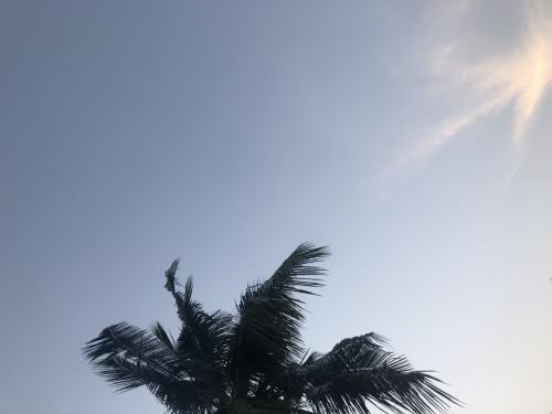 A746C048-C274-4451-A2E7-CBB3B740B678