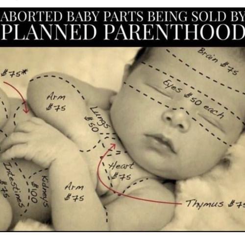 photo_2021-11-22_20-26-06