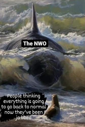 NWO48