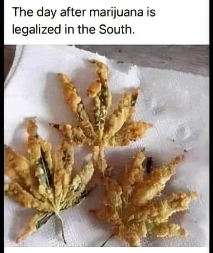 259971611_6529089223831915_3667031306087158088_n