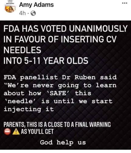 251021208_882621542643613_1951888446563115113_n