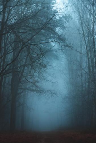 tumblr_77822e5fe68c543e61c04733abc5562e_e760cc77_540