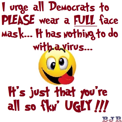 fkn ugly democrats