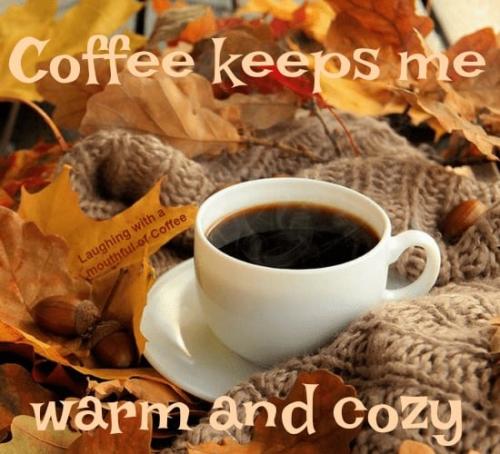 252258788_464927428322715_71598789275296239_n