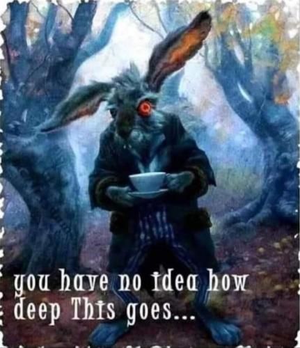 rabbit hole00