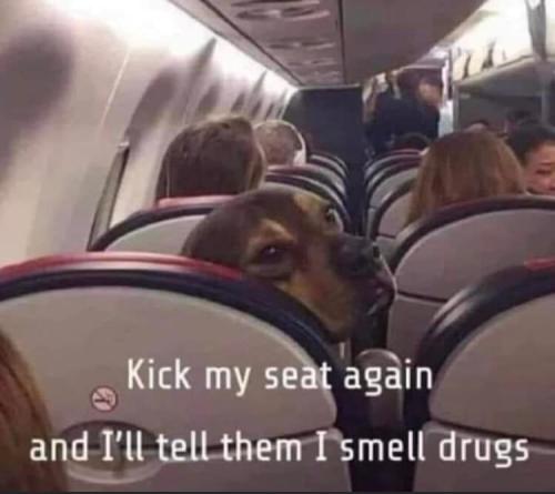 259066531_5106125039406578_2799467561915763556_n