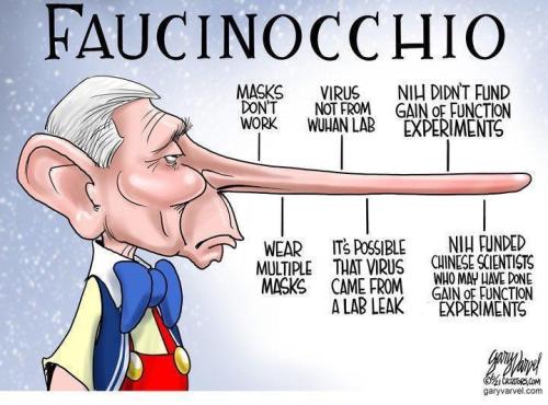 fauciochio