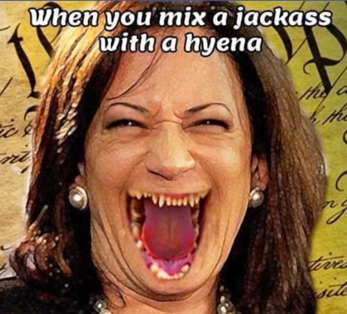 Screenshot_20211118-201422_DuckDuckGo