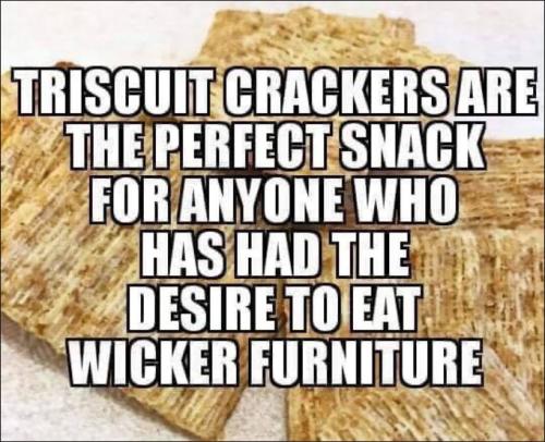 triscuit00
