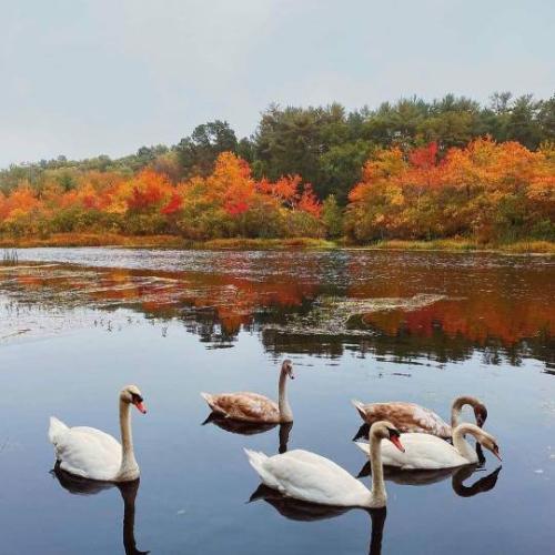 tumblr_25f96058fbde89a93fe0650bebe644ab_18cf4dc0_540