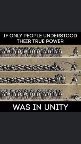 FB_IMG_1608179239246