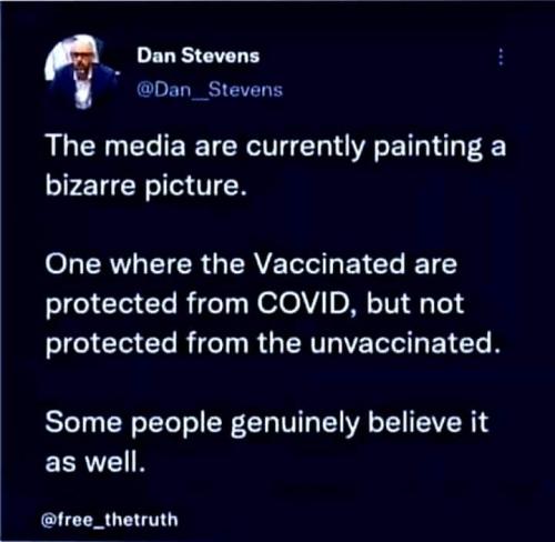 FB_IMG_1636252599930