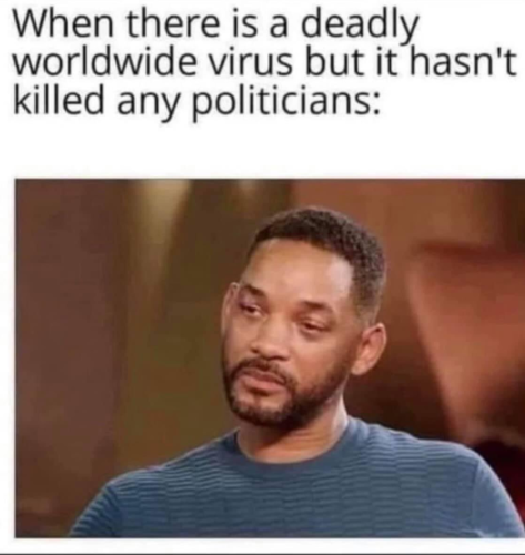 a2113932019c50dfg