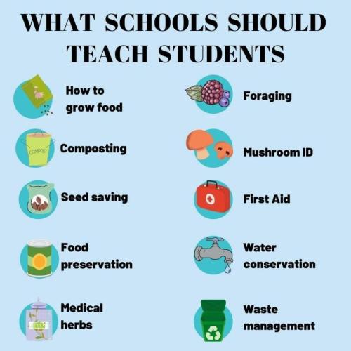 What schools should teach