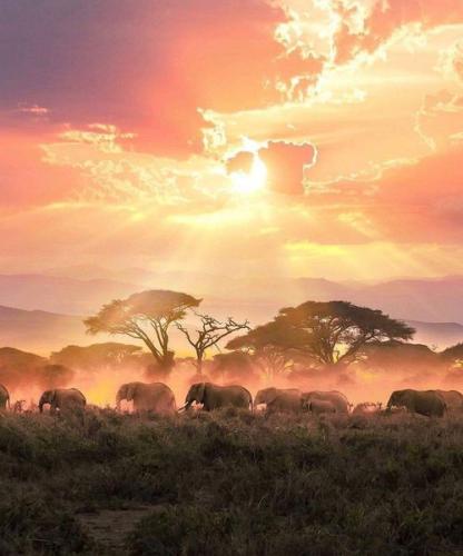 252769285_1812624172262289_6762762009644962674_n