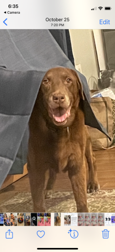 06:36:12 GMT-0500 (EST).image