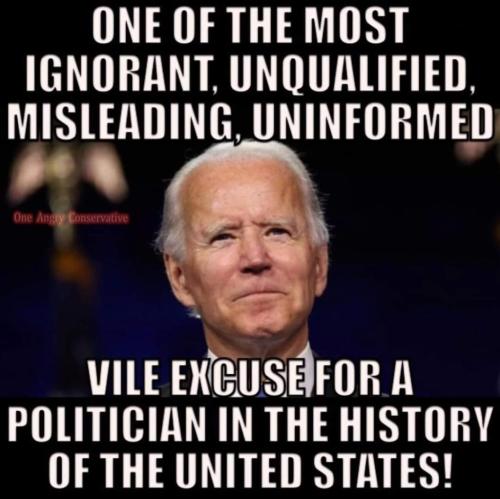 biden vile