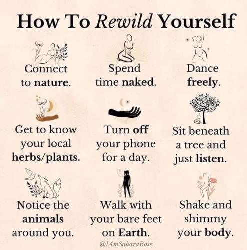 FB_IMG_1636214544821