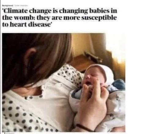 photo_2021-11-15_13-52-16