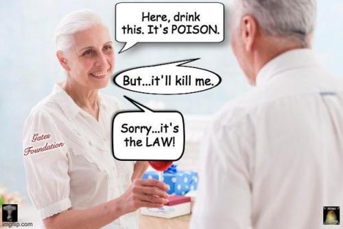 img - 2021-11-25T222847.225