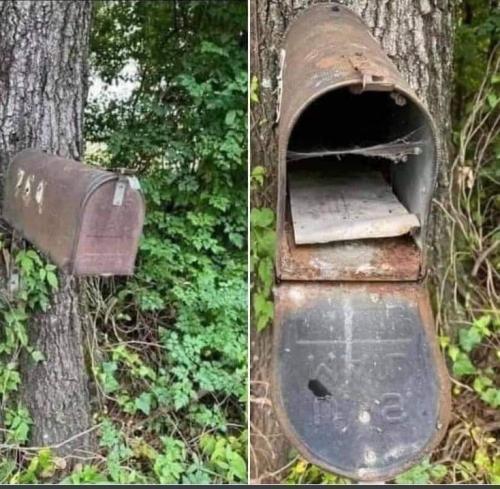 FB_IMG_1637216998335