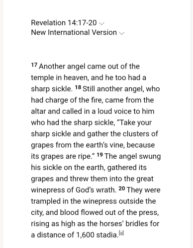 Screenshot_20211101-174525