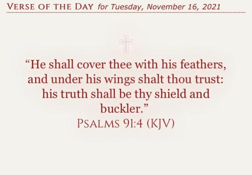 9026DD40-F04B-4670-8C97-1E3BB2685BD5