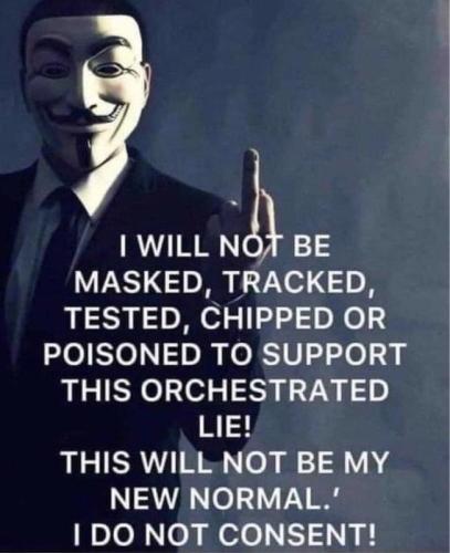 not_masked_tracked_or_chipped