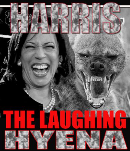 image_1636074597.892