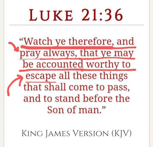 Screenshot_20211117-100227_MeWe~11