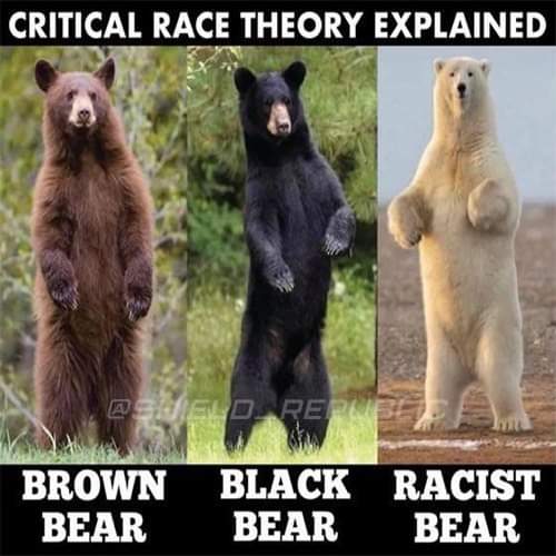 FB_IMG_1636858441607